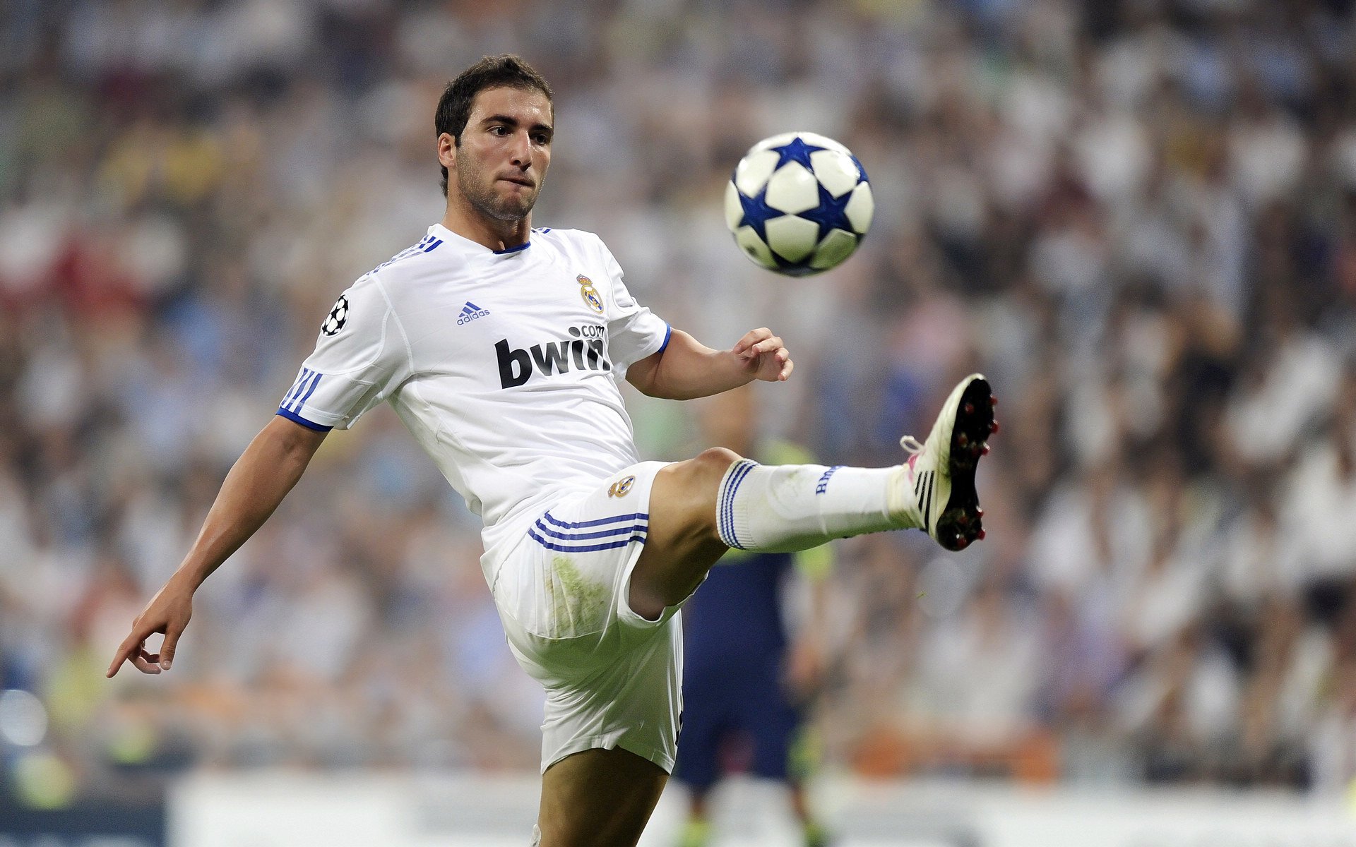 开云娱乐官网-英超消息！恩迪亚耶一条龙破门，扎卡闪击扳平！桑德兰1-1埃弗顿，恩德桑乔